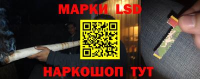 стафф Кингисепп