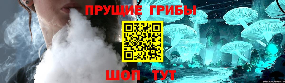 Галлюциногенные грибы GOLDEN TEACHER  Галлюциногенные грибы Psilocybine cubensis  Вход с VPN  Изобильный 